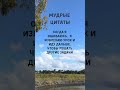 Цитата Дженнифер Лопес