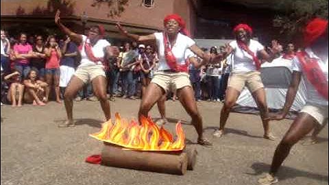 Sole Steppers 2 (Lambda Psi chapter of Delta Sigma Theta)