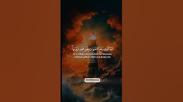 #القرآن_الكريم #راحة_نفسية #تلاوة_خاشعة