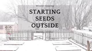 WINTER SOWING| HOW TO START SEEDS OUTSIDE IN WINTER