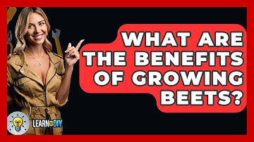 What Are The Benefits Of Growing Beets? - LearnToDIY360.com