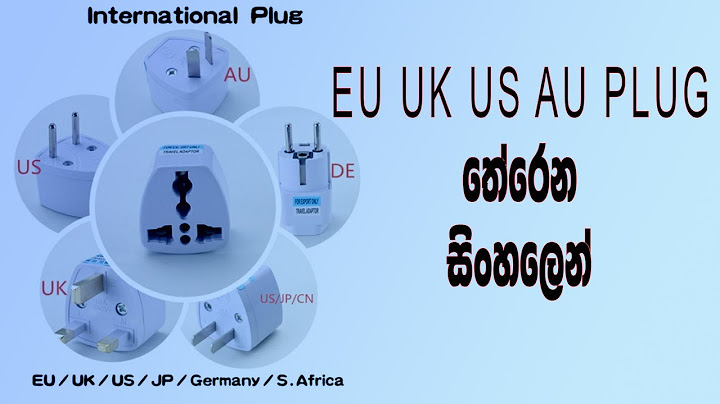 Au plug eu plug uk plug us plug là gì năm 2024