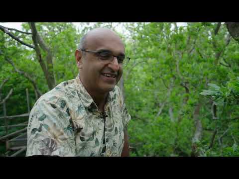 Vidéo Voice over: L'Homme et la Nature: Forêts - Yadvinder Malhi. ARTE