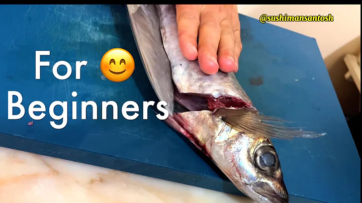 How to Fillet Fish for Beginners : Aji – Filleting & Cleaning Horse Mackerel for Sushi & Sashimi