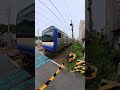 逗子市の踏切 #jr東日本 #横須賀線 #鉄道 #電車 #train #shortvideo #shorts #short #ふみきり #ふみきりカンカン #踏切