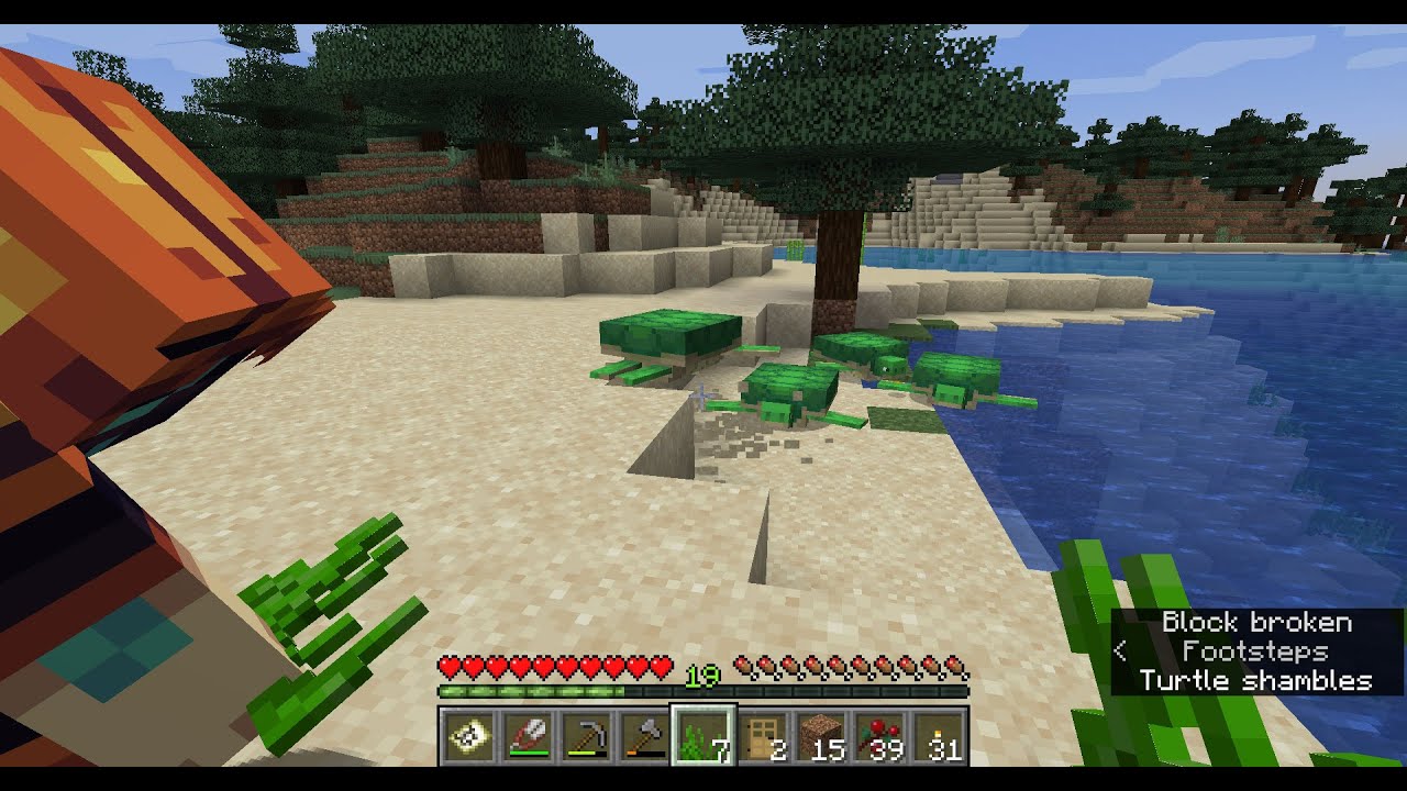 Minecraft - Ep 12 - Making a beach for the turtles - YouTube
