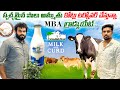 Village milk Startup success story on Dairy supply and Value Chain #agribusiness #cow#retailoutlets