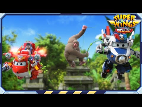 Teeny Toy Takers | Superwings Superpet Adventures | S7 Ep23 | Super Wings