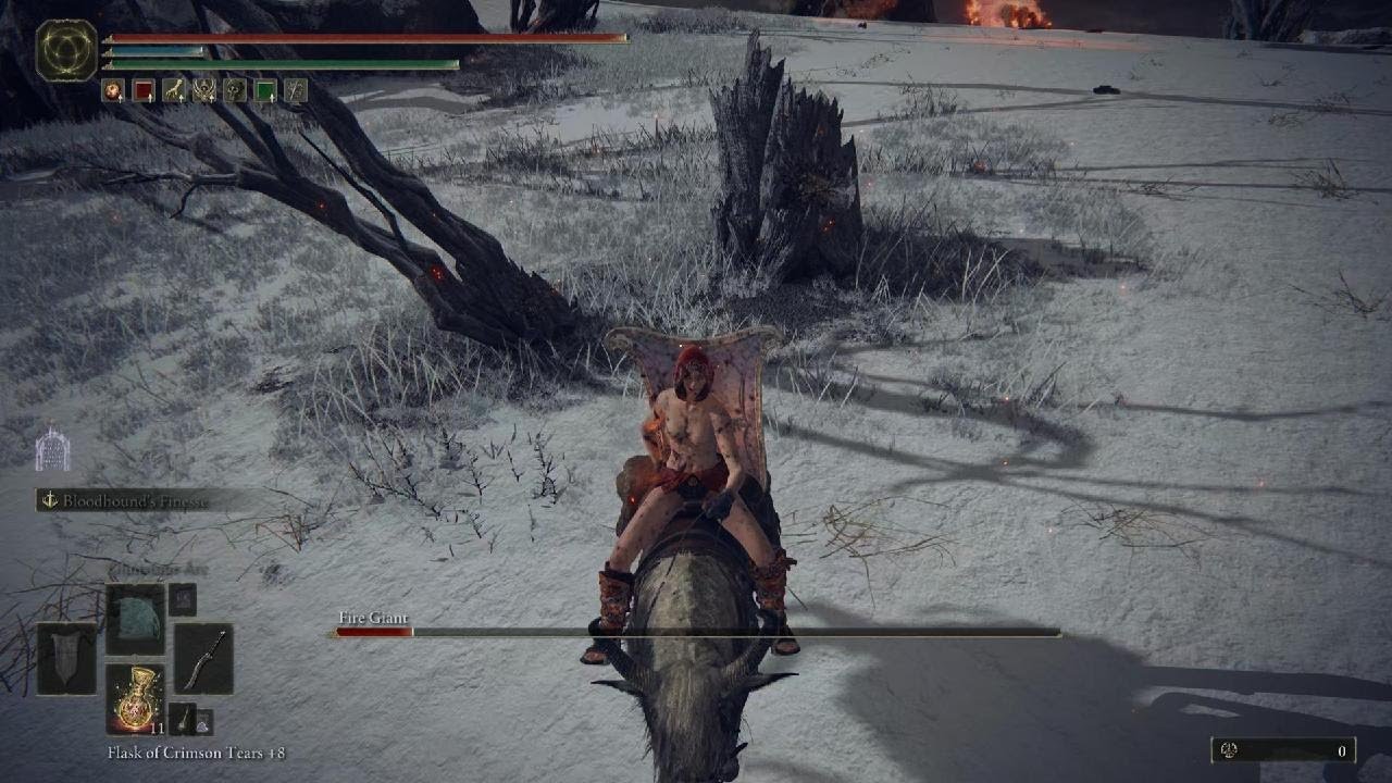 ELDEN RING Nude Disappearing Clothes Glitch Bug - YouTube