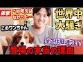 大谷翔平、満票MVP選出時のワンちゃん登場は仕組まれたものだった?「オオタニ犬になりたい」と世界中が大騒ぎする中で衝撃の考察【海外の反応】