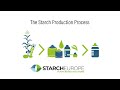 The starch production process