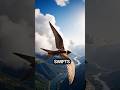 This Bird Watched Every Empire Fall… And Never Landed