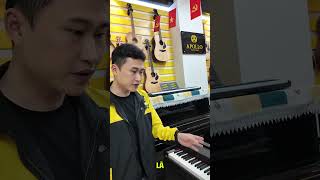 Review nhanh Piano Everest-88010