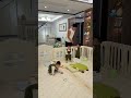 رما السراير في الملاهي وقالهم ناموا لوحدكم