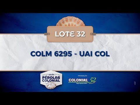 LOTE 32 COLM 6295