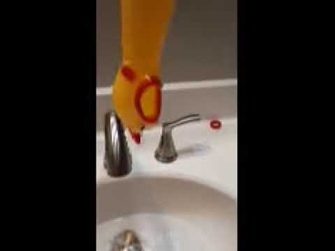Rubber chicken be drowning - YouTube