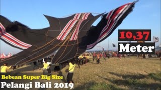 Bebean Big Size 10,37 Meter!!! PELANGI BALI 2019
