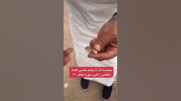 بعضنا قد لا يعلم معنى كلمة ( قطمير ) في سورة فاطر ١٣