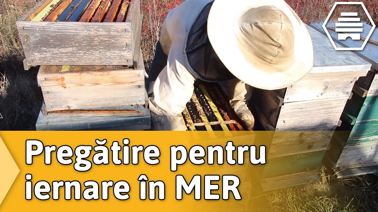 Pregatire pentru iernare in MER