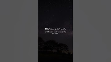 الرحمن علم القرآن خلق الإنسان علمه | أوائل سورة الرحمن | القارئ حسام الدين عبادي