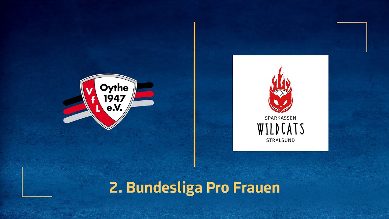 VfL Oythe – Sparkassen Wildcats Stralsund (2. Volleyball Bundesliga Pro F 25/26)