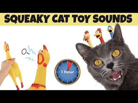 Squeaky Toy Sounds For Cats One Hour