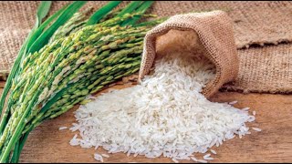 أسعار الأرز اليوم في السعودية 2023 بعد الارتفاع الكبير