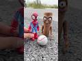 Satisfying with Unboxing Spidey vs Tung Tung Sahur Fun Toys Videos ASMR #marvel #toys #shorts