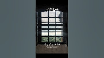 آيات من سورة القلم | القرآن الكريم