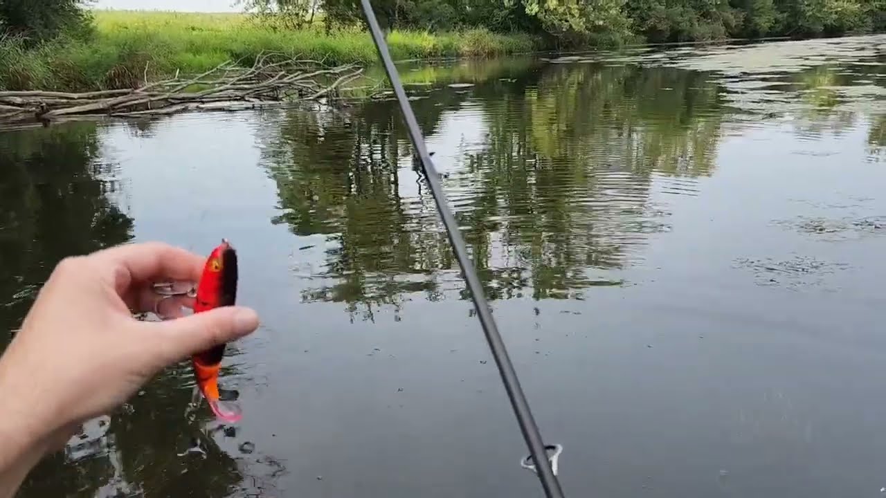 Delta Craw Pike Fishing! Can I get him in the Net !?!?