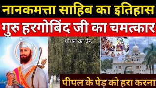Download Lagu Gurudwara Nanakmatta Sahib & Guru Nanak Dev Ji & Old Peepal Tree History.