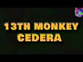 13th monkey  cedera