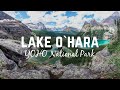 Lake O’Hara: Backcountry Paradise in the Canadian Rockies