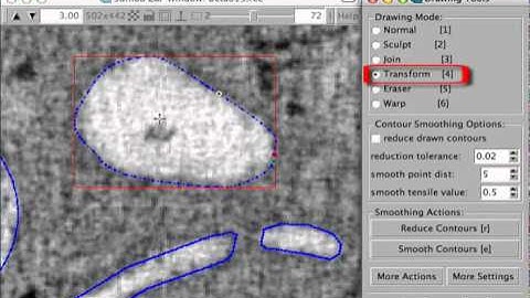 IMOD tutorial - Drawing Tools and Interpolation - Overview