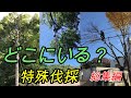 どこにでも登ります≪特殊伐採≫≪伐採≫色々な場面の総集編