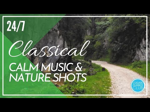 Calm Classical Music with Nature Shots 24/7: Liszt, Vivaldi, Chopin for Relaxing, Studying, Reading