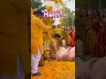 Beautiful haldidecor #haldiceremony #weddingvideo #cousinsgoal #groomsquad #saadispecial #saadiavlog