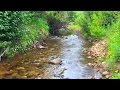 1 minute break / recharge / Tranquil Mountain River Running Nature Sounds white noise