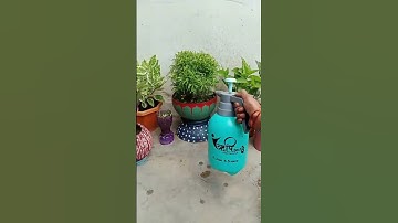 How to use pressure sprayer|| plastic spray bottle|| #garden #short #treanding  #viral