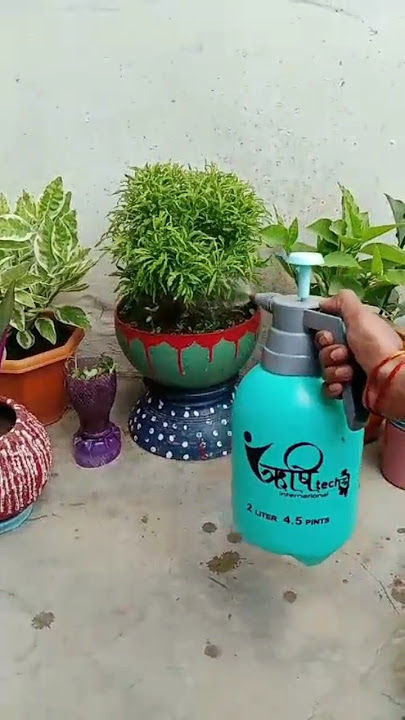 Cara menggunakan penyemprot bertekanan|| botol semprot plastik|| #taman #pendek #treanding #viral