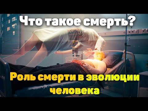 Что такое смерть. Роль смерти в эволюции человека.