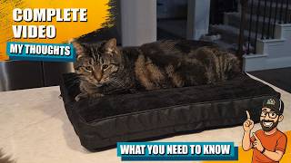 Dog & Cats Crate Bed Review – Is This Waterproof Plush Bed Worth It? B0D7989QBQ screenshot 3