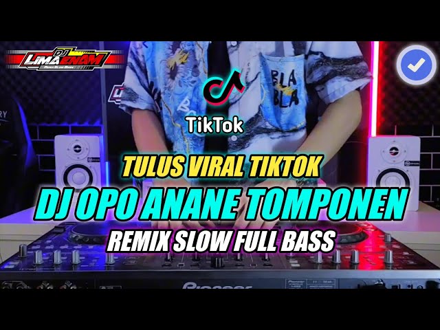 DJ TULUS (TAK GENGGEM TANGANMU TAK ELUS PIPIMU) REMIX SLOW FULL BASS TERBARU 2024 class=