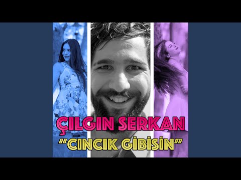 Cıncık Gibisin