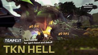Low DPS ≠ Low Contribution  -🍃 Tempest  🌪  TKN Hell - Dragon Nest Classic