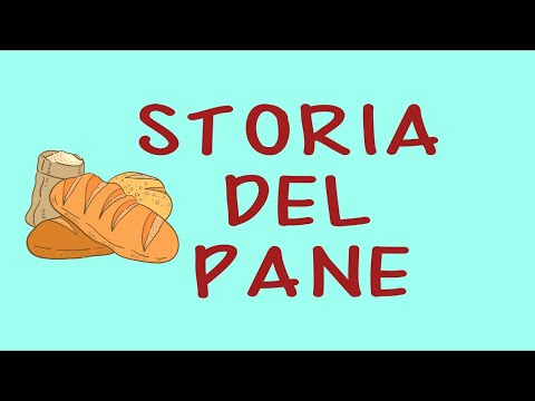 Video: Albero del pane. descrizione generale