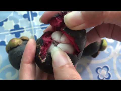 How to open a Mangosteen Fruit 🤤 #viral #video #howto