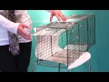 How to Set a Feral Cat Trap - Spay Neuter Charlotte