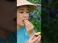 Juicy Plum Taste 😋 | Nature Fruit Video #Shorts #fruits #video