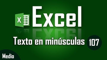 Como convertir texto a minúsculas en Excel - Capítulo 107